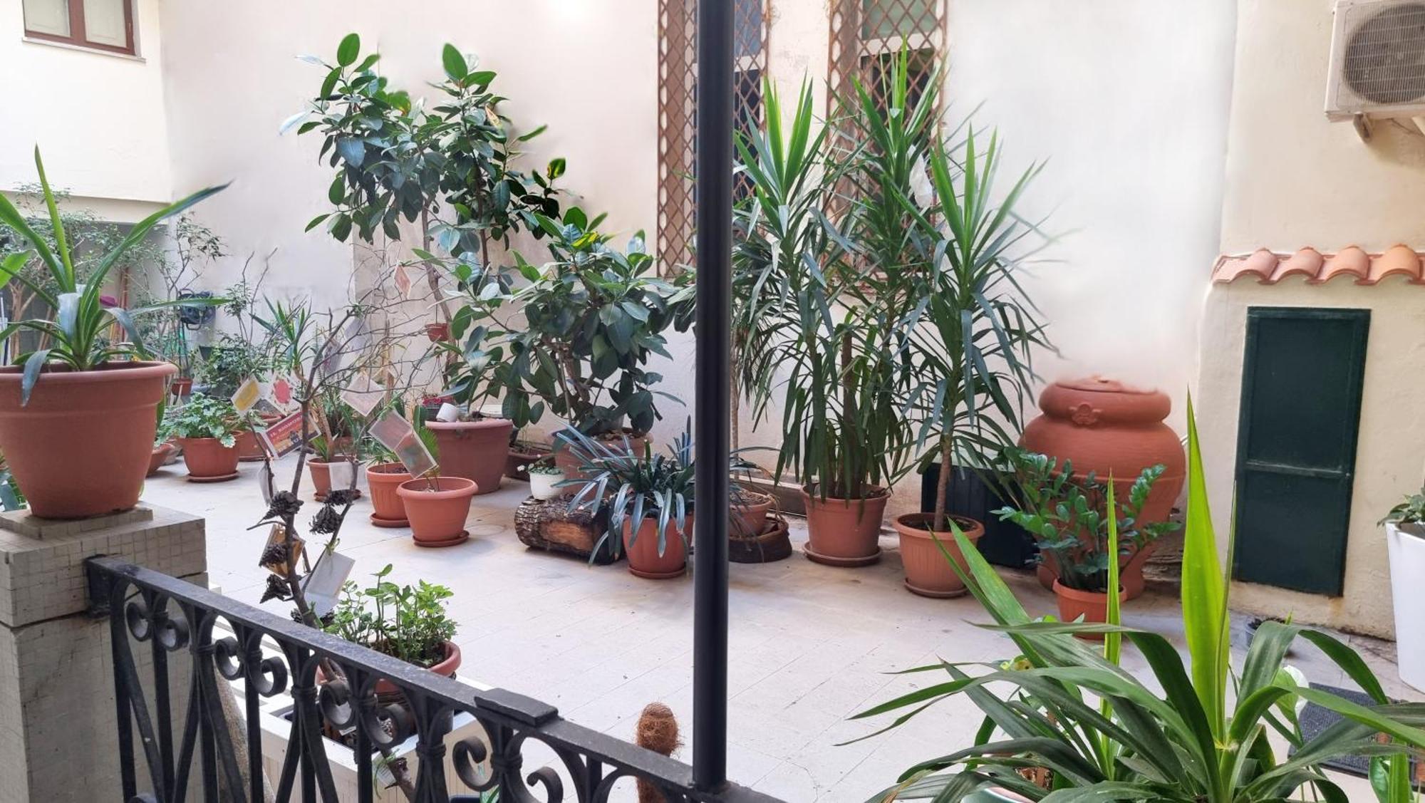 דירות Loft Magna Grecia Reggio Calabria Centro Storico A 3 Minuti A Piedi Dal Mare מראה חיצוני תמונה